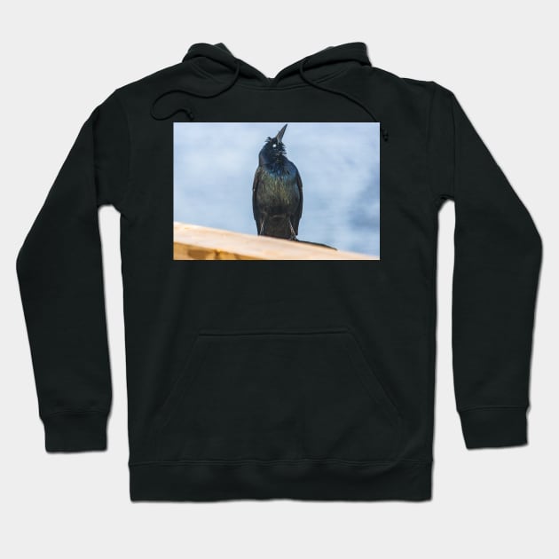 Look up Hoodie by KensLensDesigns